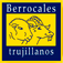 (c) Berrocales.com
